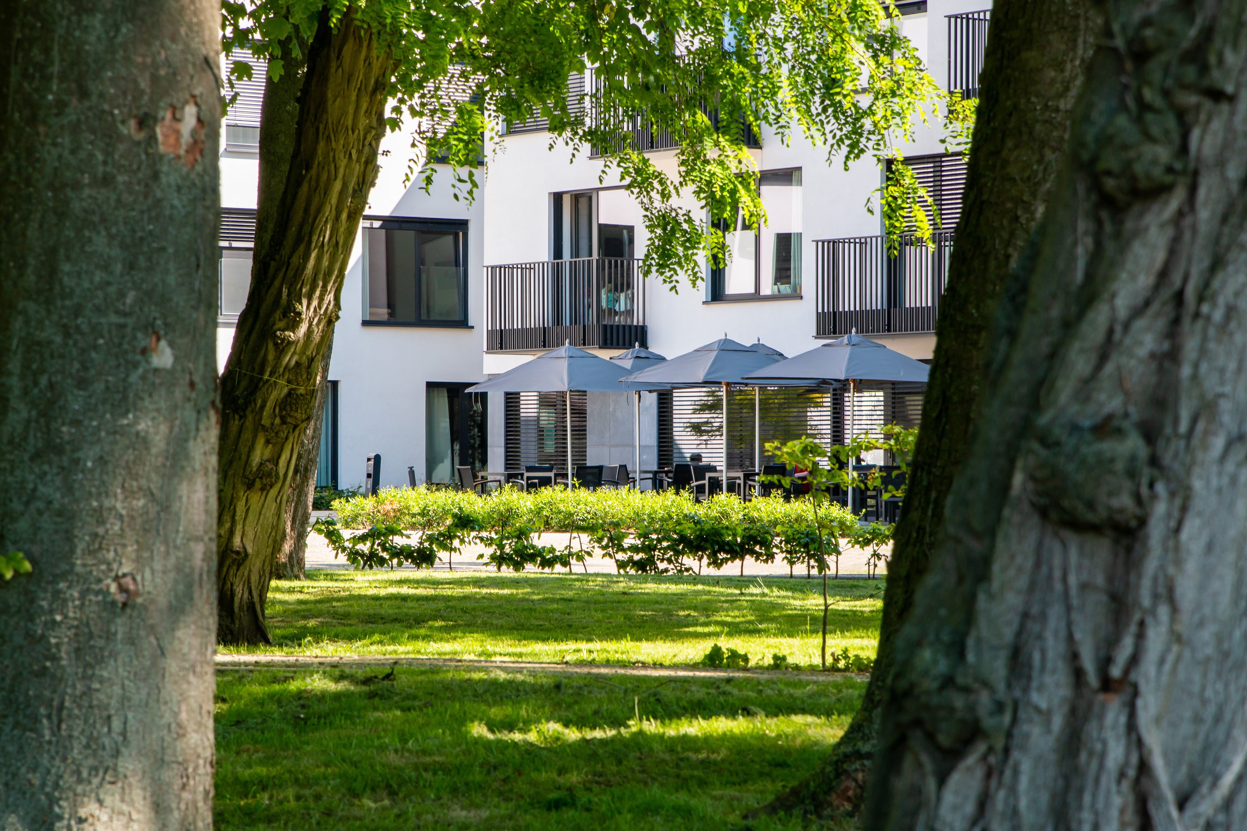 Jardin_Brugse Vaart_vulpia_Mariakerke_maison de repos