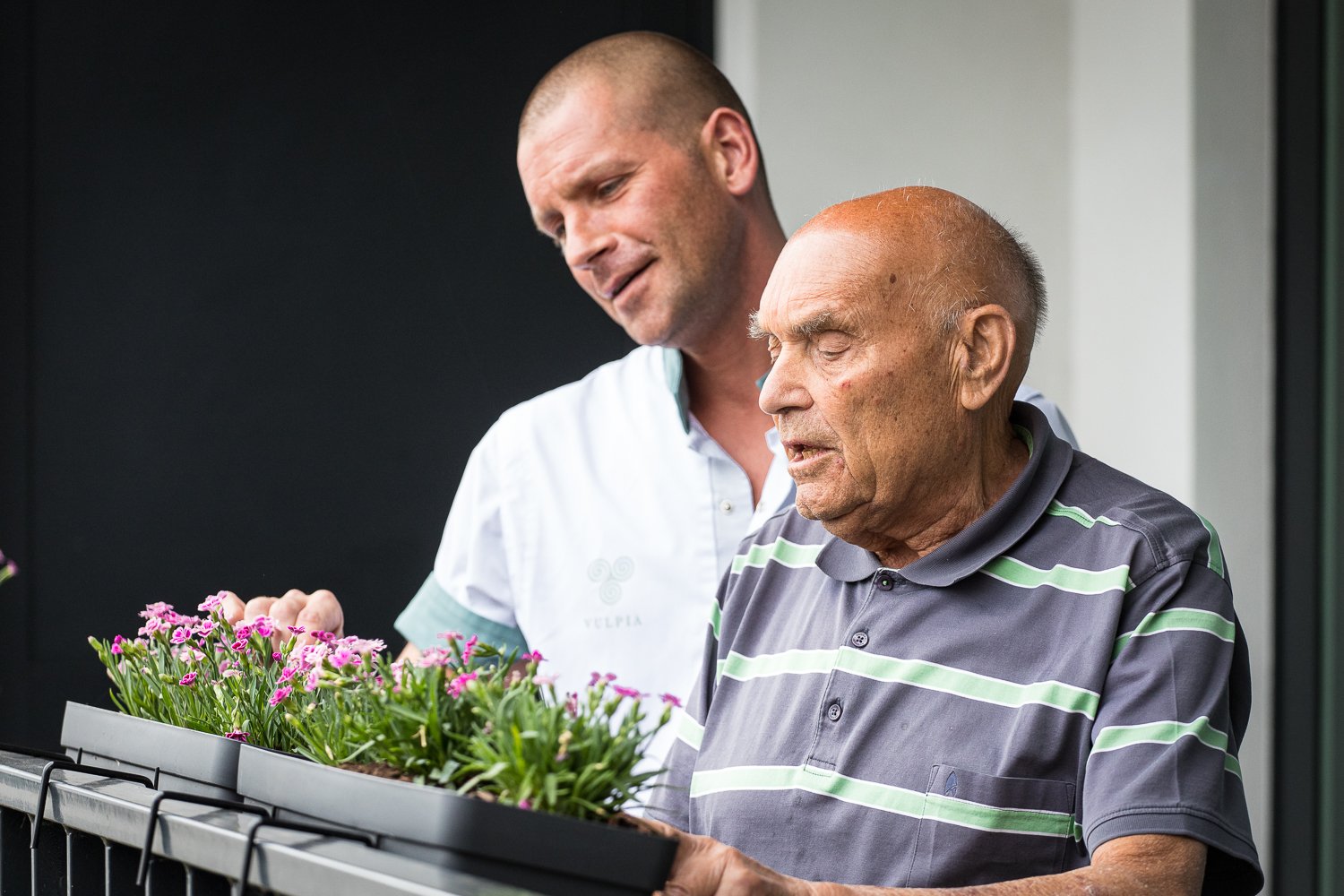 resident et des fleurs